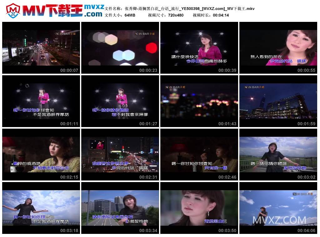 张秀卿-甭搁黑白花_台语_流行_YE500398
